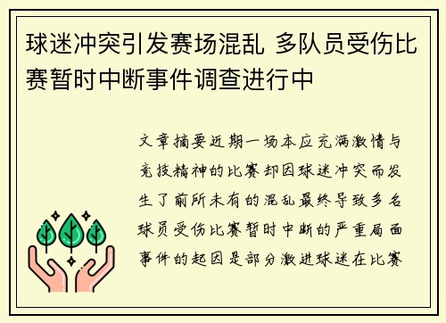 球迷冲突引发赛场混乱 多队员受伤比赛暂时中断事件调查进行中