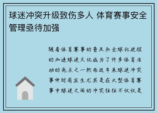 球迷冲突升级致伤多人 体育赛事安全管理亟待加强